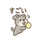 ふわもこシュナさん 外遊びのご連絡（個別スタンプ：4）
