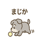ふわもこシュナさん 外遊びのご連絡（個別スタンプ：6）