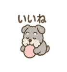 ふわもこシュナさん 外遊びのご連絡（個別スタンプ：7）