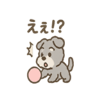 ふわもこシュナさん 外遊びのご連絡（個別スタンプ：9）