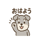 ふわもこシュナさん 外遊びのご連絡（個別スタンプ：12）