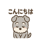ふわもこシュナさん 外遊びのご連絡（個別スタンプ：13）