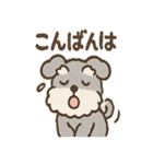 ふわもこシュナさん 外遊びのご連絡（個別スタンプ：15）
