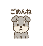 ふわもこシュナさん 外遊びのご連絡（個別スタンプ：17）