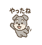 ふわもこシュナさん 外遊びのご連絡（個別スタンプ：20）
