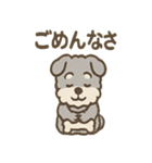 ふわもこシュナさん 外遊びのご連絡（個別スタンプ：31）
