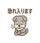 ふわもこシュナさん 外遊びのご連絡（個別スタンプ：33）