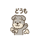 ふわもこシュナさん 外遊びのご連絡（個別スタンプ：34）