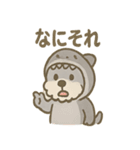 ふわもこシュナさん 外遊びのご連絡（個別スタンプ：37）