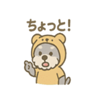 ふわもこシュナさん 外遊びのご連絡（個別スタンプ：40）