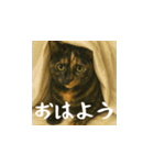 台湾猫のビール＆ウィスキー工房（日本語）（個別スタンプ：1）