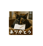 台湾猫のビール＆ウィスキー工房（日本語）（個別スタンプ：4）