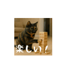 台湾猫のビール＆ウィスキー工房（日本語）（個別スタンプ：5）