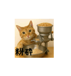 台湾猫のビール＆ウィスキー工房（日本語）（個別スタンプ：15）