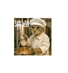 台湾猫のビール＆ウィスキー工房（日本語）（個別スタンプ：20）