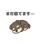 シュナウザーといっしょです（個別スタンプ：2）