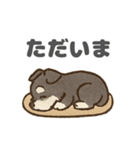 シュナウザーといっしょです（個別スタンプ：3）