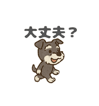 シュナウザーといっしょです（個別スタンプ：4）