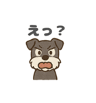シュナウザーといっしょです（個別スタンプ：5）