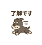 シュナウザーといっしょです（個別スタンプ：7）