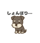 シュナウザーといっしょです（個別スタンプ：8）