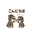 シュナウザーといっしょです（個別スタンプ：12）