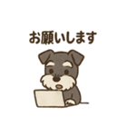 シュナウザーといっしょです（個別スタンプ：13）
