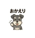 シュナウザーといっしょです（個別スタンプ：16）