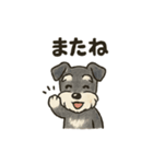 シュナウザーといっしょです（個別スタンプ：17）