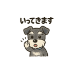 シュナウザーといっしょです（個別スタンプ：19）