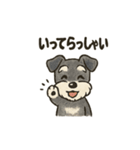 シュナウザーといっしょです（個別スタンプ：20）