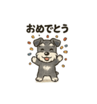 シュナウザーといっしょです（個別スタンプ：21）
