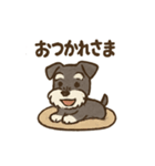 シュナウザーといっしょです（個別スタンプ：23）
