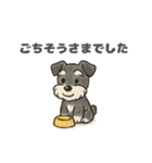 シュナウザーといっしょです（個別スタンプ：24）
