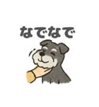 シュナウザーといっしょです（個別スタンプ：27）