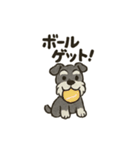 シュナウザーといっしょです（個別スタンプ：30）
