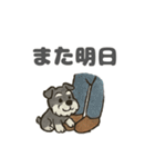 シュナウザーといっしょです（個別スタンプ：32）