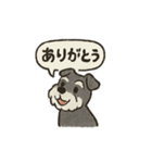 シュナウザーといっしょです（個別スタンプ：33）