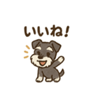 シュナウザーといっしょです（個別スタンプ：34）