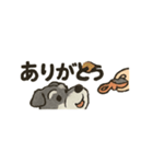 シュナウザーといっしょです（個別スタンプ：35）