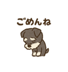 シュナウザーといっしょです（個別スタンプ：36）