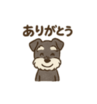シュナウザーといっしょです（個別スタンプ：37）