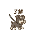 シュナウザーといっしょです（個別スタンプ：38）