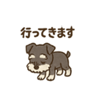 シュナウザーといっしょです（個別スタンプ：39）