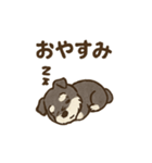 シュナウザーといっしょです（個別スタンプ：40）
