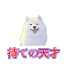 犬味 犬だもん（個別スタンプ：6）