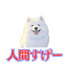 犬味 犬だもん（個別スタンプ：7）