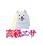 犬味 犬だもん（個別スタンプ：9）