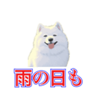 犬味 犬だもん（個別スタンプ：15）