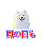 犬味 犬だもん（個別スタンプ：16）